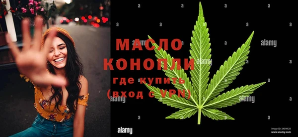 индика Усолье-Сибирское