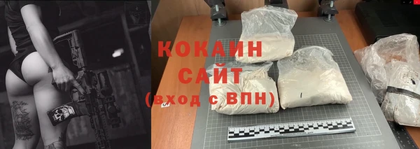 индика Усолье-Сибирское