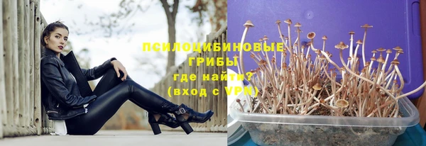 индика Усолье-Сибирское