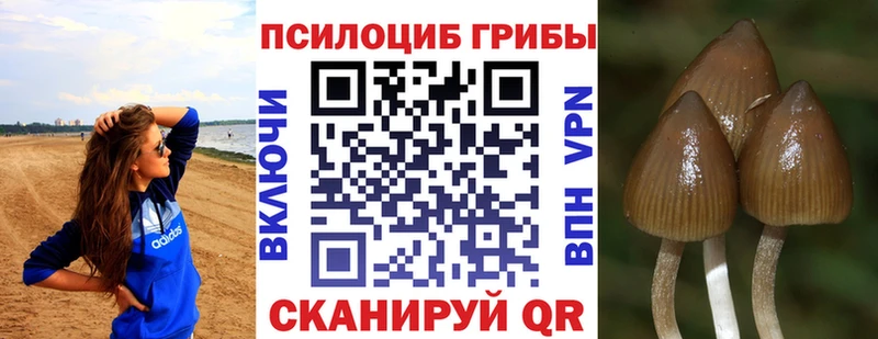 Галлюциногенные грибы ЛСД  Купить  Ветлуга 