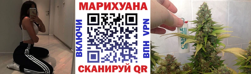 Купить где  Ветлуга  Конопля гибрид 